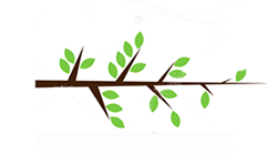 Обрезка веток