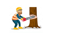 Удаление деревьев